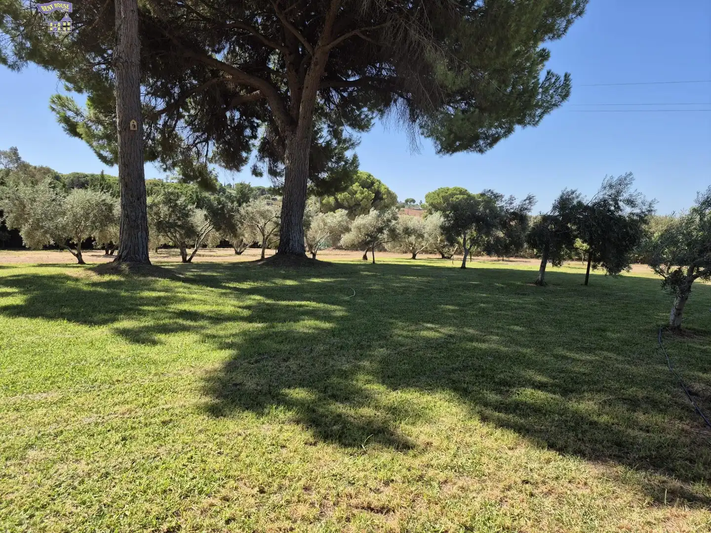 Villa avec piscine à vendre à Arcos de la Frontera, imagen 60