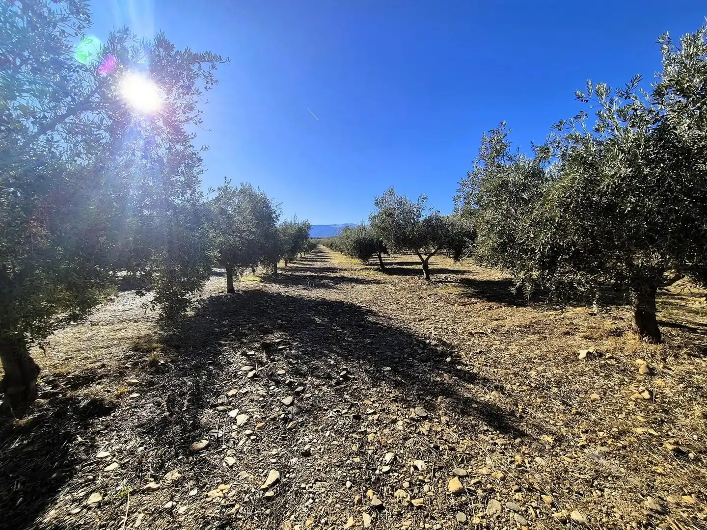 Terreno rústico en venta en Lanteira, imagen 13