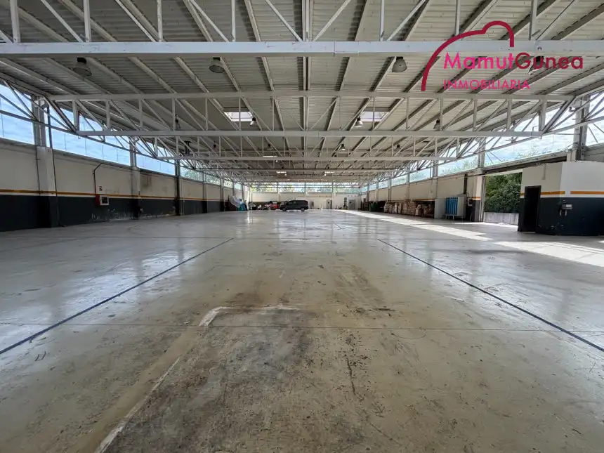 Industrial building to rent in Lapice - Larreaundi - Olaberria - Meaka, imagen 6