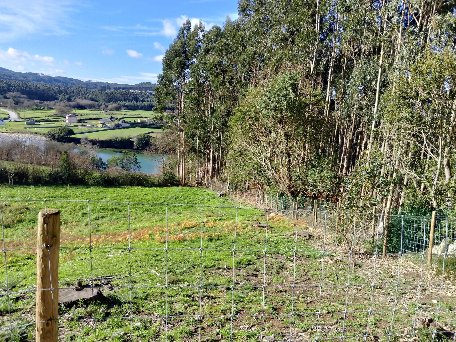 Land for sale in Xove