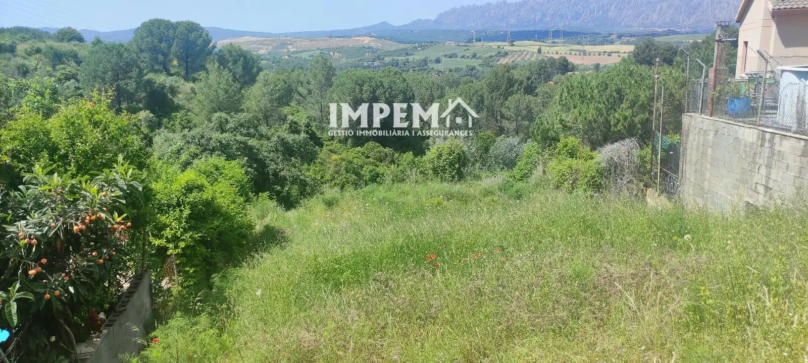 Rural land for sale in Francesc Macià, imagen 2