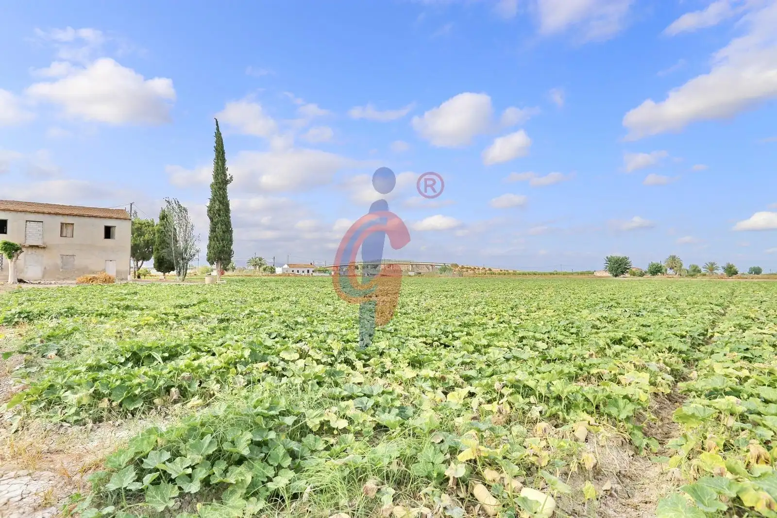 Finca rústica en venda en Callosa de Segura amb Jardí privat
