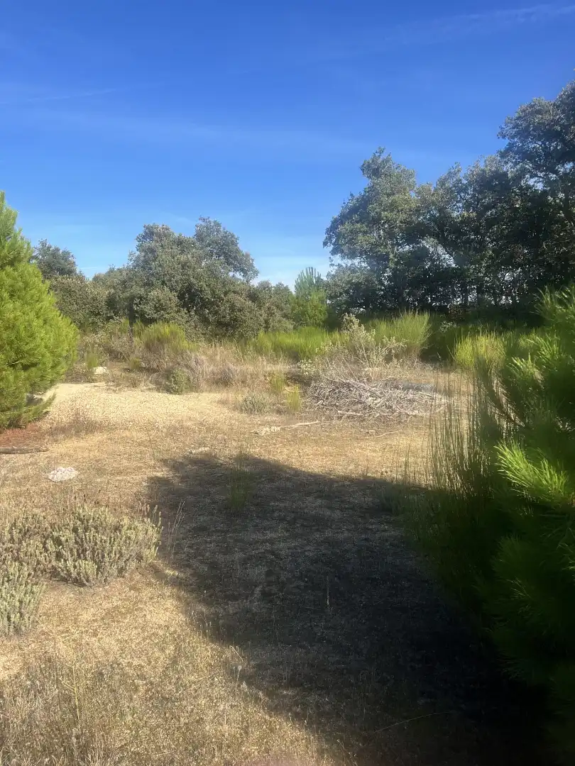 Rural land for sale in Autovía de los Pantanos 51, imagen 4