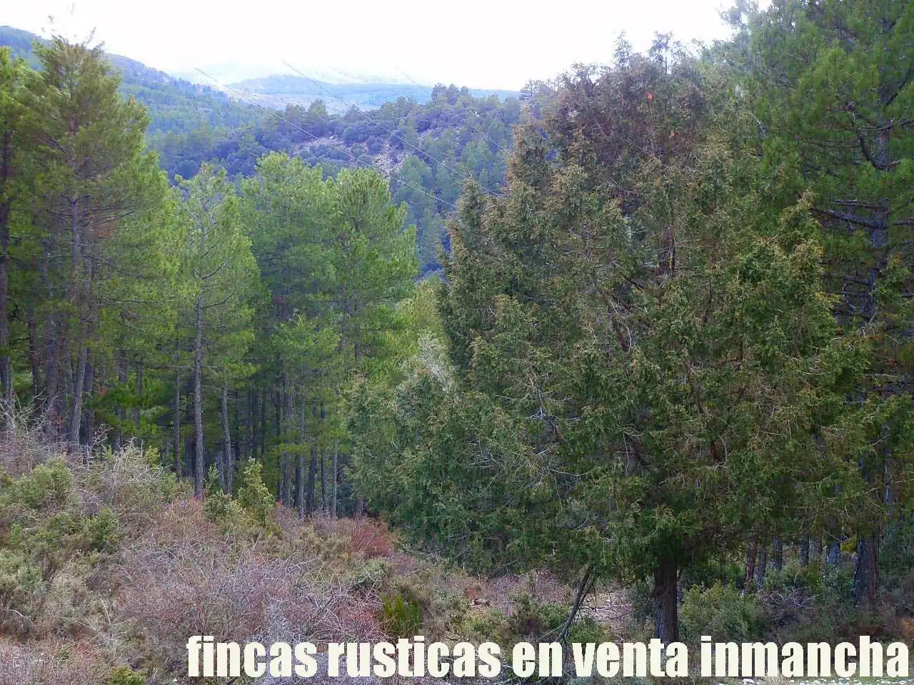 Terreno rústico en venta en Nerpio