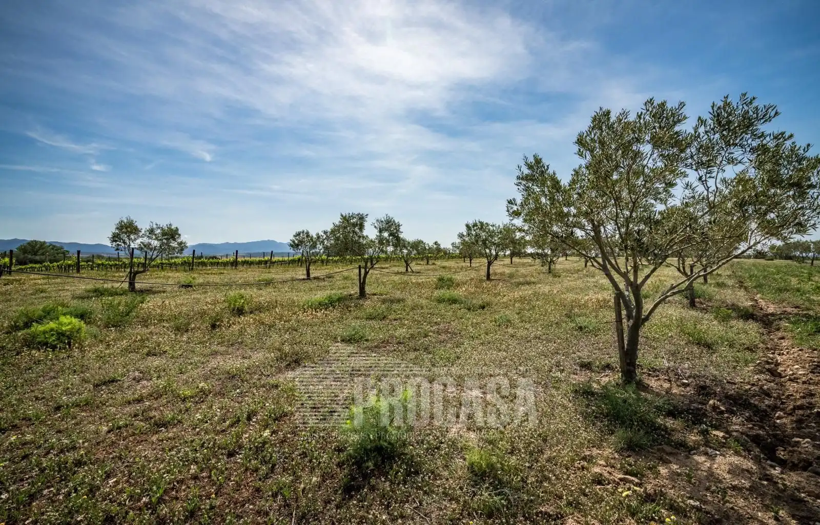 Houses for sale in Masarac i Vilarnadal  with Air Conditioner, Storage room and Swimming Pool