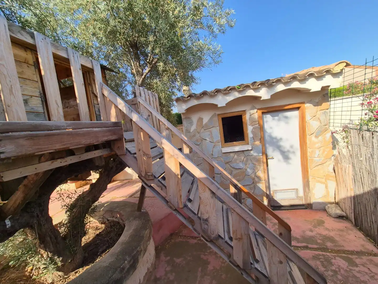 Vista exterior de Casa o xalet en venda en Petrer amb Calefacció, Jardí privat i Terrassa