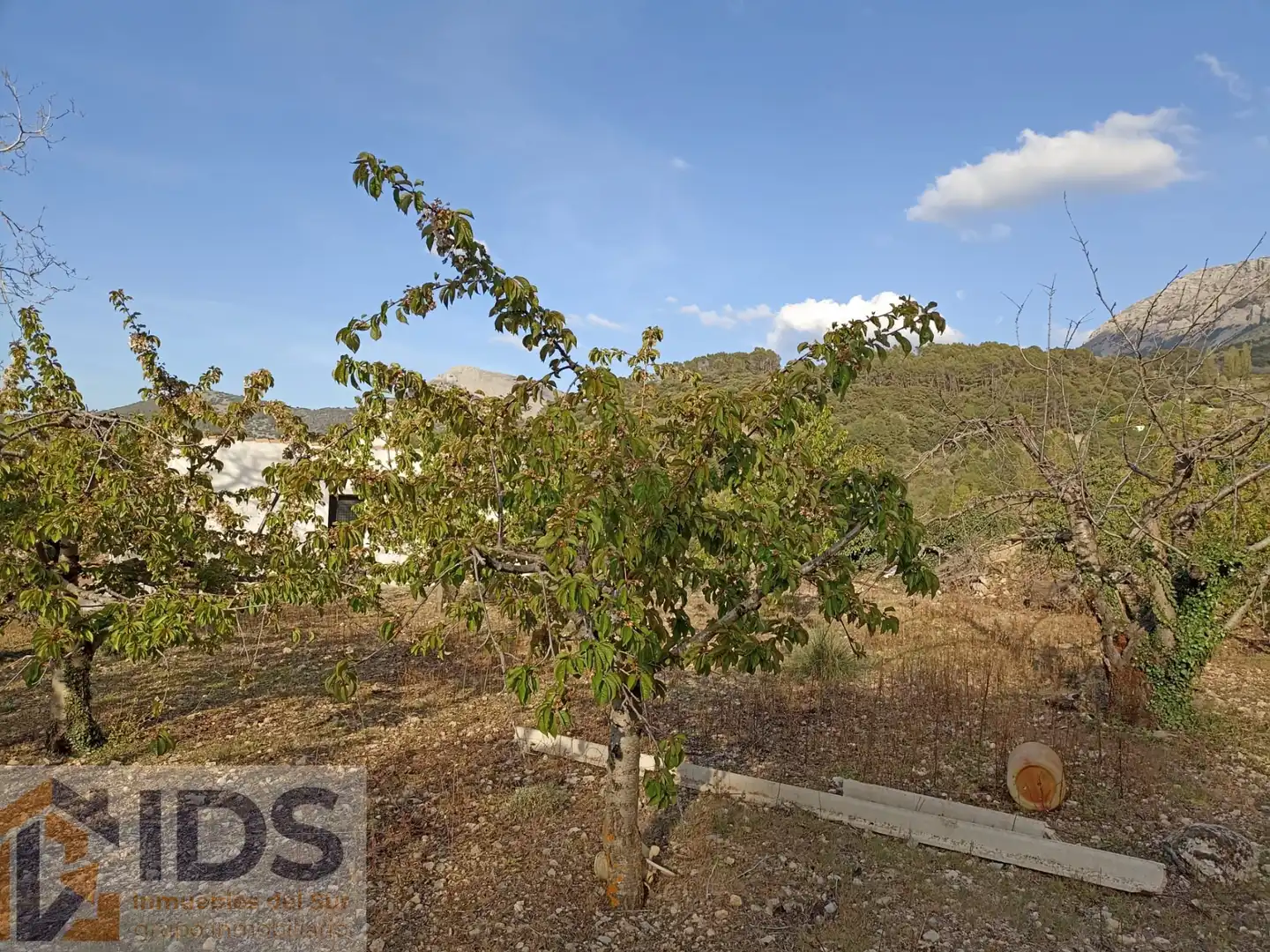 Casa o chalet en venta en Albanchez de Mágina con Jardín privado y Piscina