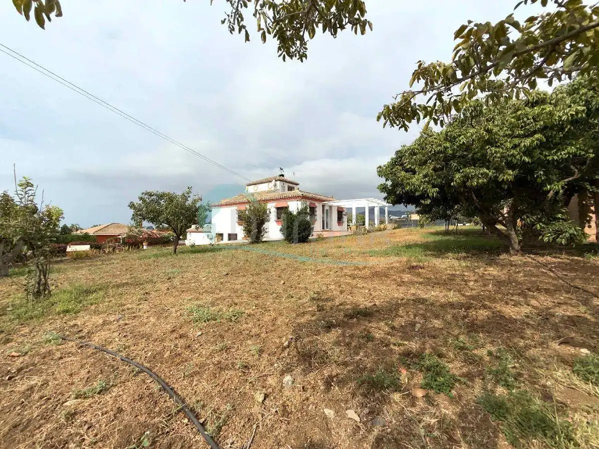 Jardín de Casa o chalet en venta en Marbella con Piscina y Piscina comunitaria