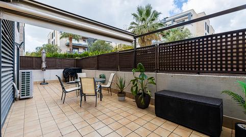 Photo 5 of Planta baja for sale in El Secar de la Real,  Palma de Mallorca