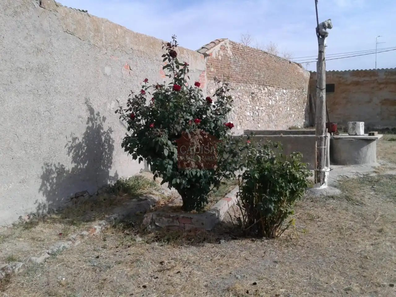 Jardí de Residencial en venda en Salmoral