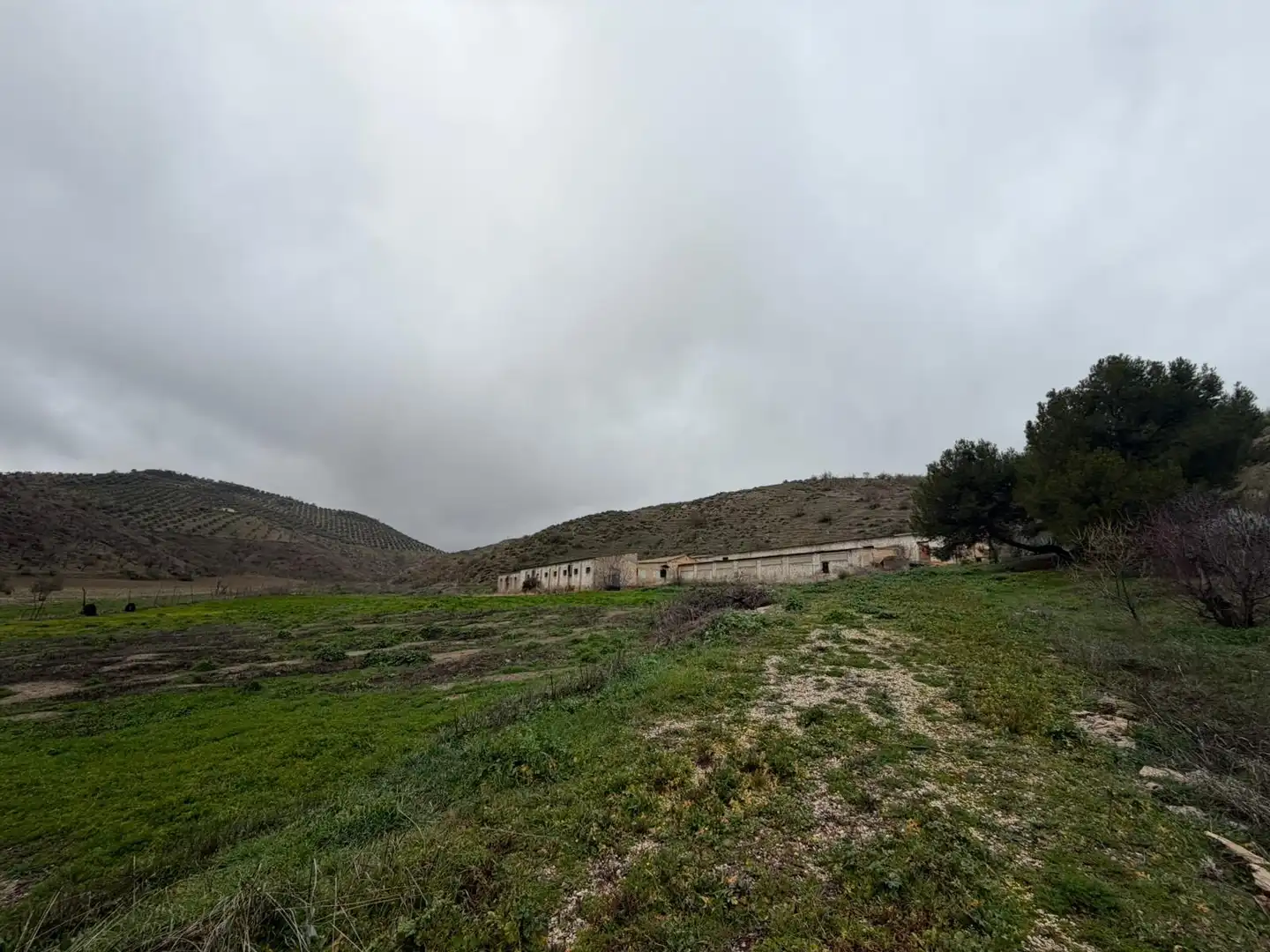 Terreny en venda en Huelma
