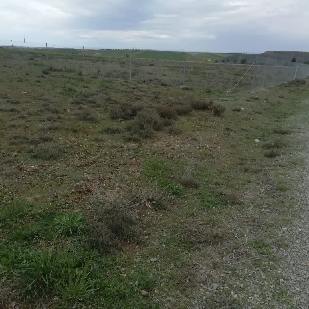 Terreni e lotti in vendita a Villaminaya, imagen 2