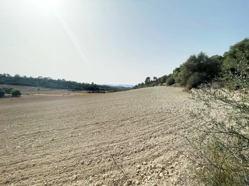 Rural land for sale in Sineu, imagen 9