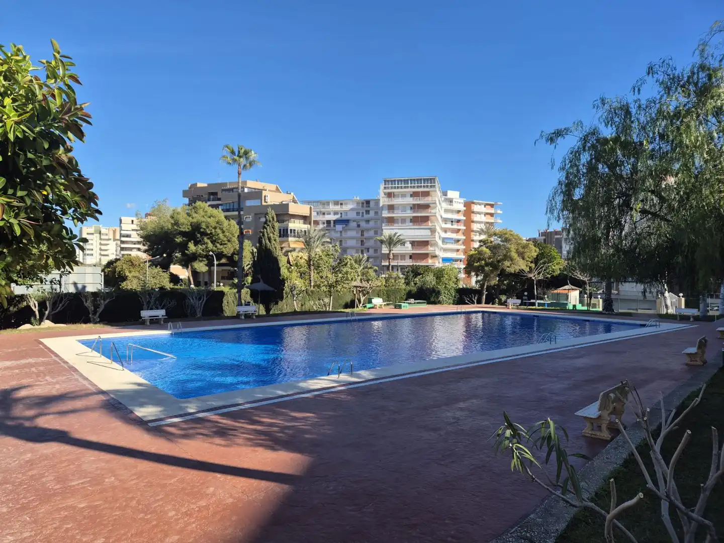 Pis amb piscina en venda a Playa de San Juan - El Cabo de las Huertas, imagen 2