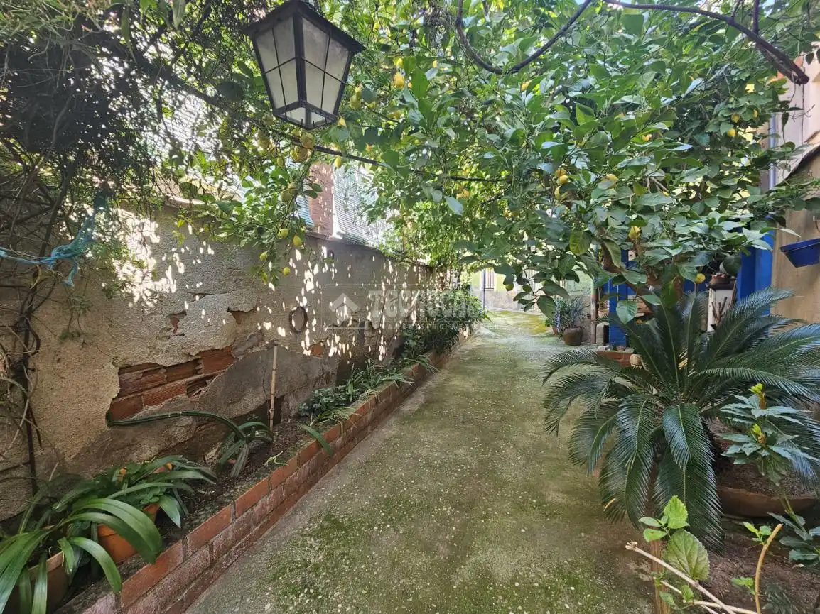 Jardín de Casa o chalet en venta en Caleruela con Jardín privado