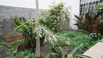 Garden of Duplex for sale in Las Palmas de Gran Canaria  with Terrace and Balcony