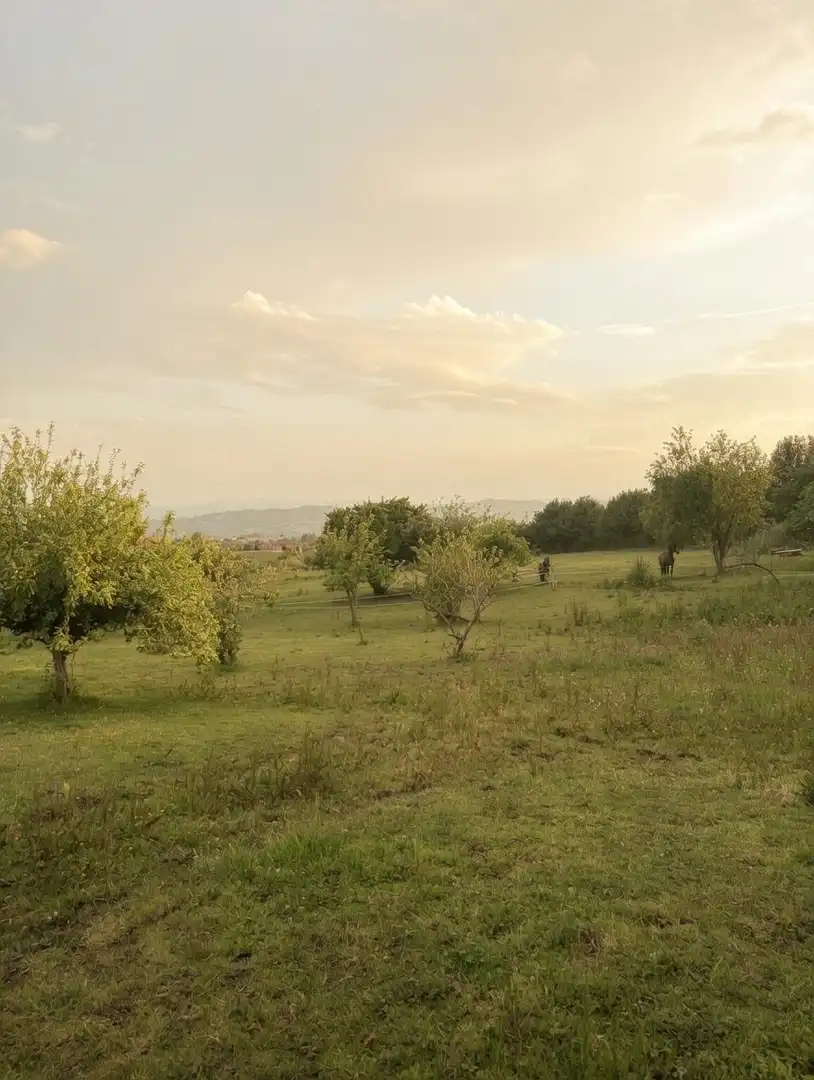 Residential land for sale in La Pola de Siero 58, imagen 4