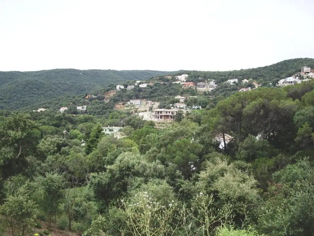 Terreny residencial en venda a Eucaliptus 10, imagen 2
