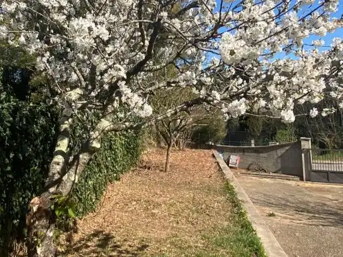Residential land for sale in Ronda del Paradís 198