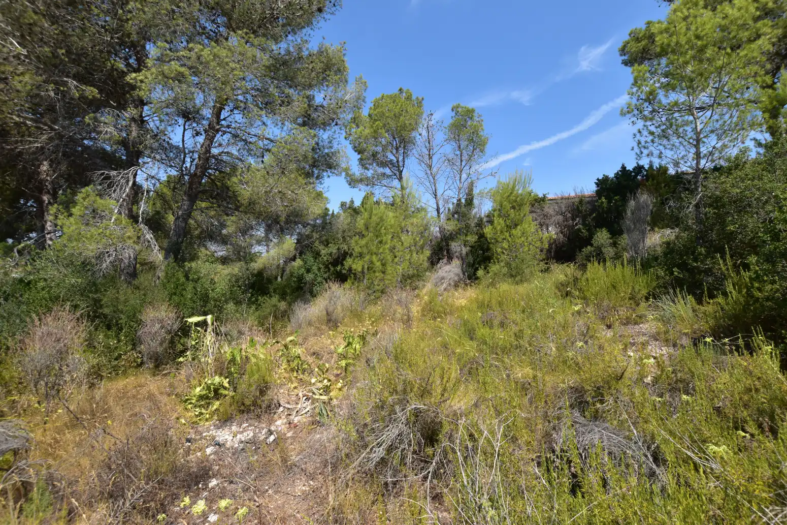 Terreno rústico en venta en Picassent - CL COVA FUMÀ, imagen 19