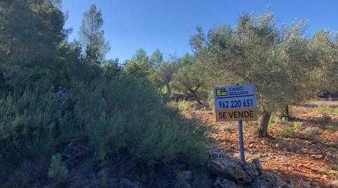 Photo 3 of House or chalet for sale in Polígono Polígono 16 Parcela 8, Chella, Valencia