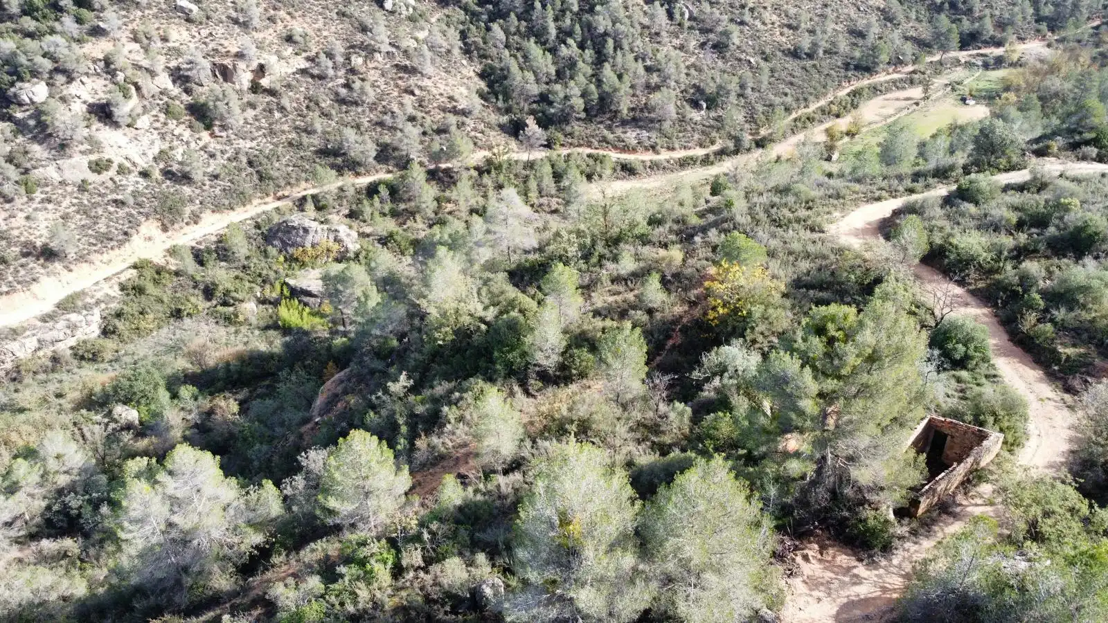 Terreno rustico in vendita a Cervià de Les Garrigues, imagen 33