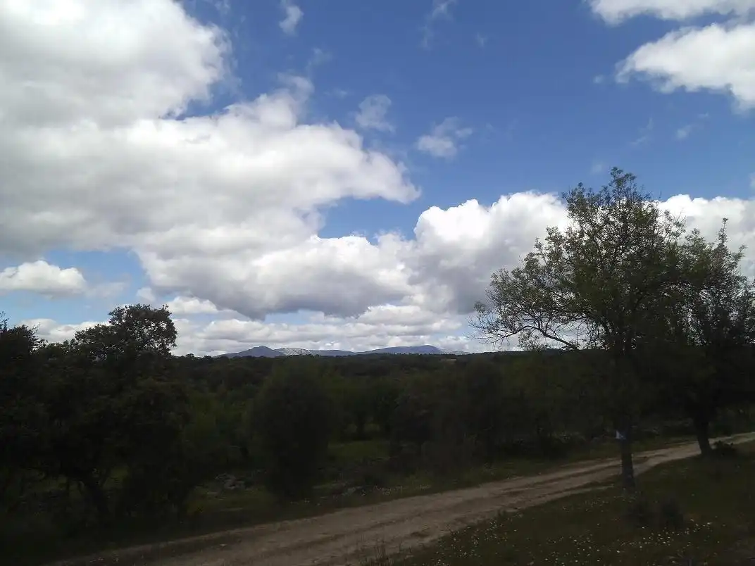 Vista exterior de Residencial en venda en Valdemorillo