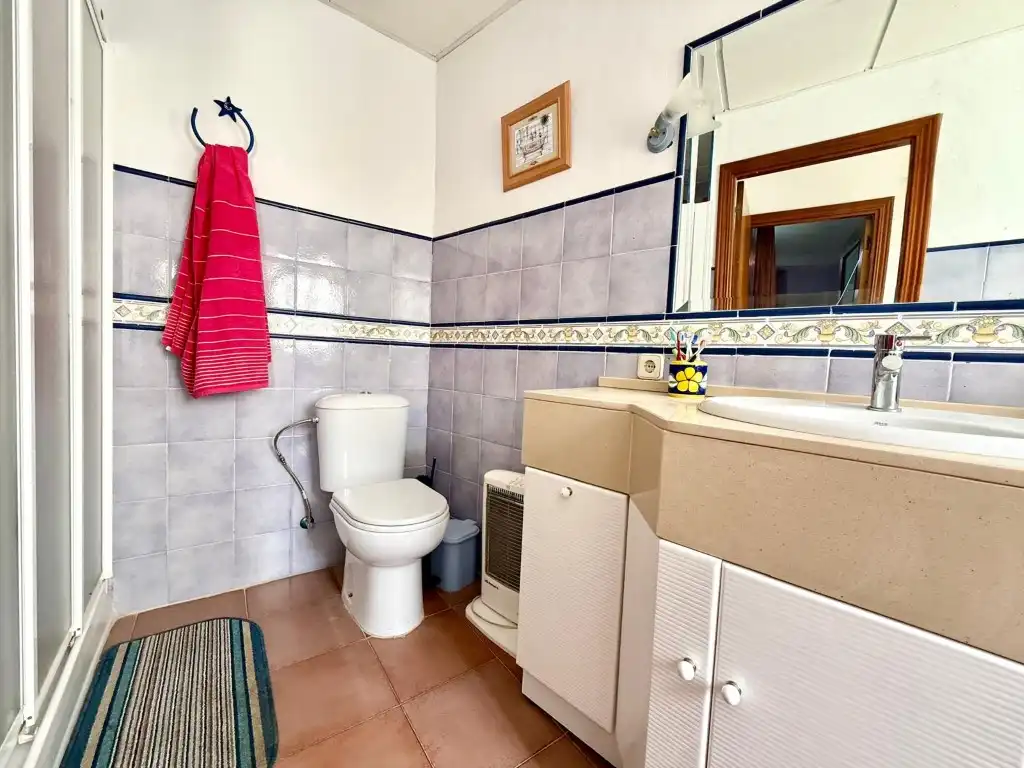 House with terrace for sale in Calle Cruz, imagen 21