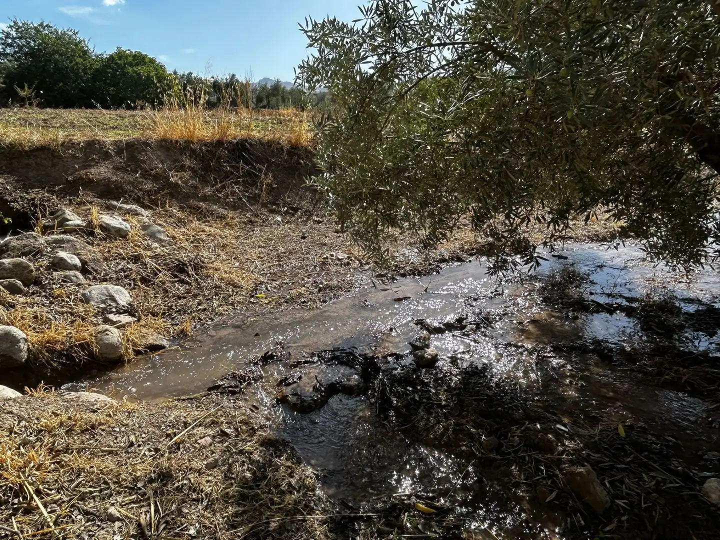 Terreni e lotti in vendita a Calicasas, imagen 18