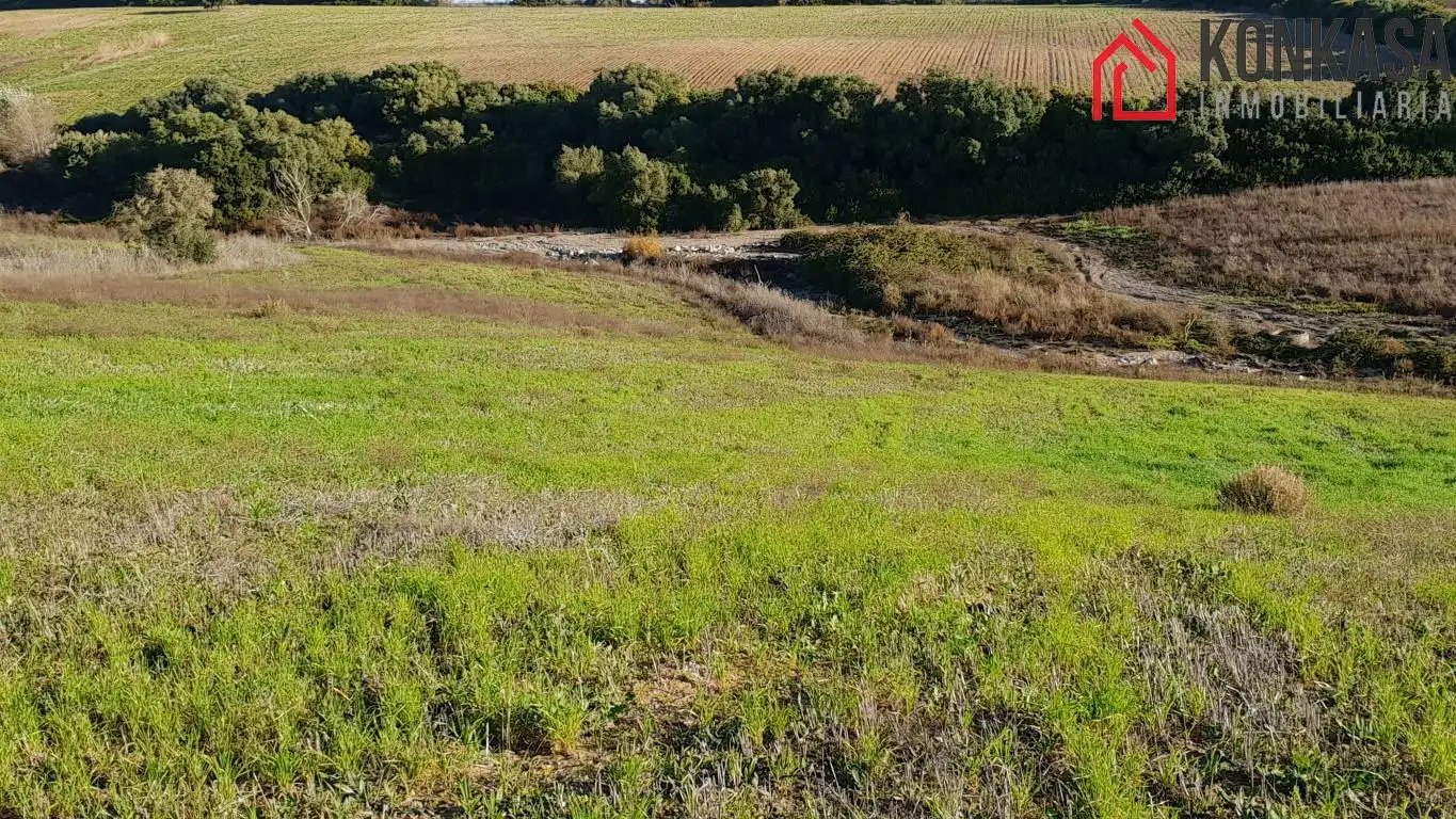 Casa rústica en venda a Arcos de la Frontera, imagen 5