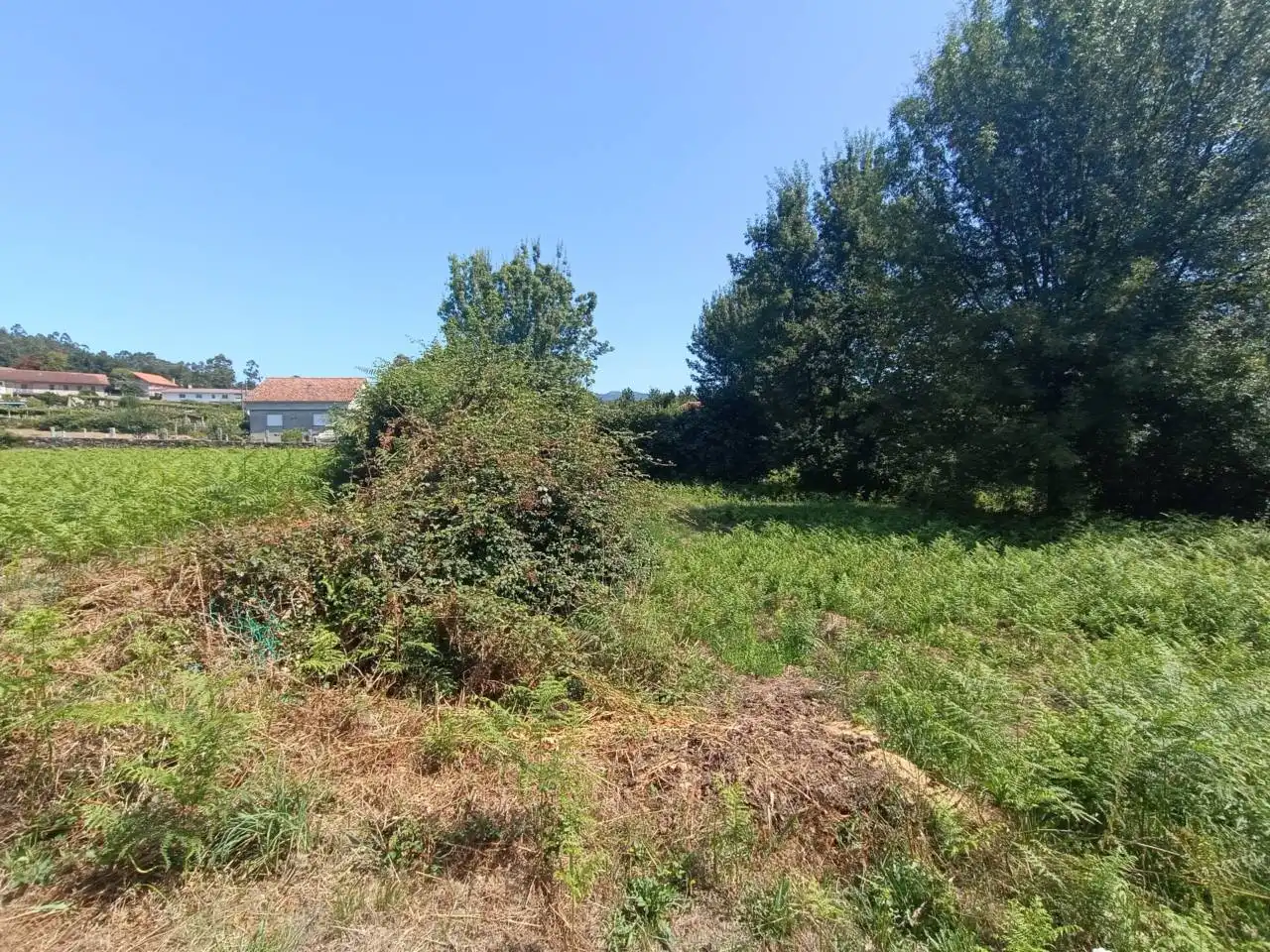 Lands and plots for sale in Calle Cabadas, imagen 3