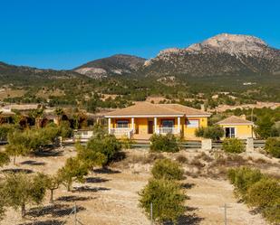 Vista exterior de Casa o xalet en venda en Lorca amb Jardí privat, Traster i Piscina