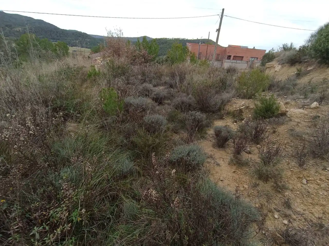 Terreny rústic en venda a Castellbell i el Vilar, imagen 7