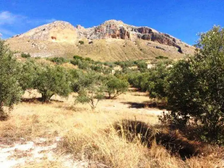 Terreni e lotti in vendita a Bedmar y Garcíez, imagen 2