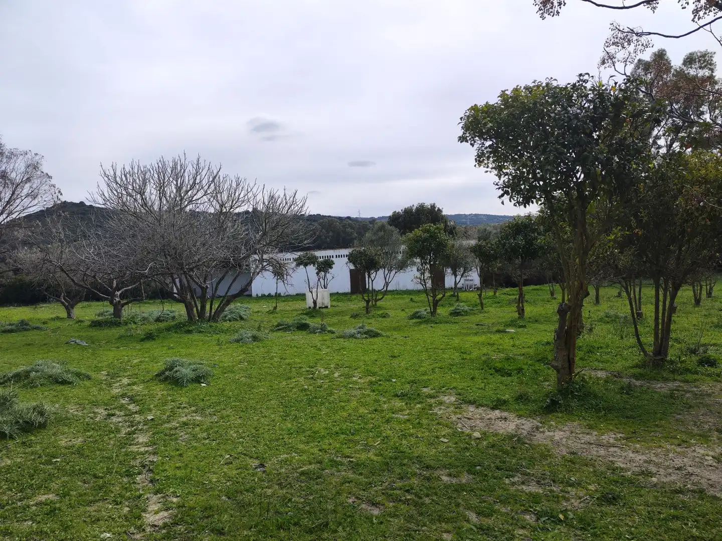 Maison rustique à vendre à San Martín del Tesorillo, imagen 4