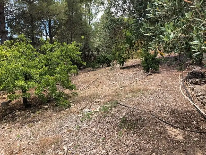 Casa o chalet en venta en Palma de Gandia con Aire acondicionado, Jardín privado y Terraza