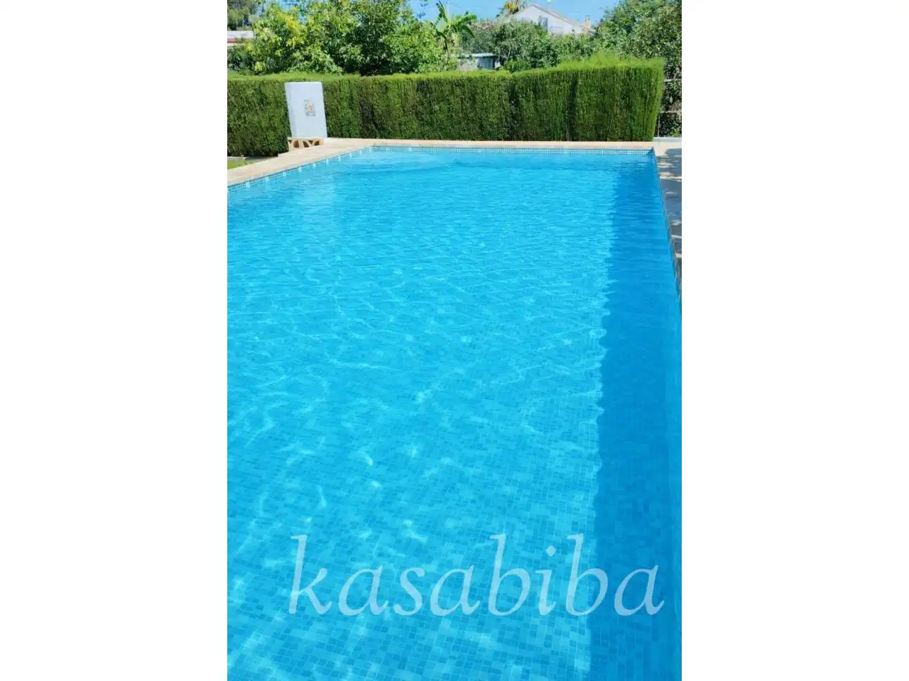 Swimming pool of Houses for sale in Marines  with Private garden, Terrace and Swimming Pool