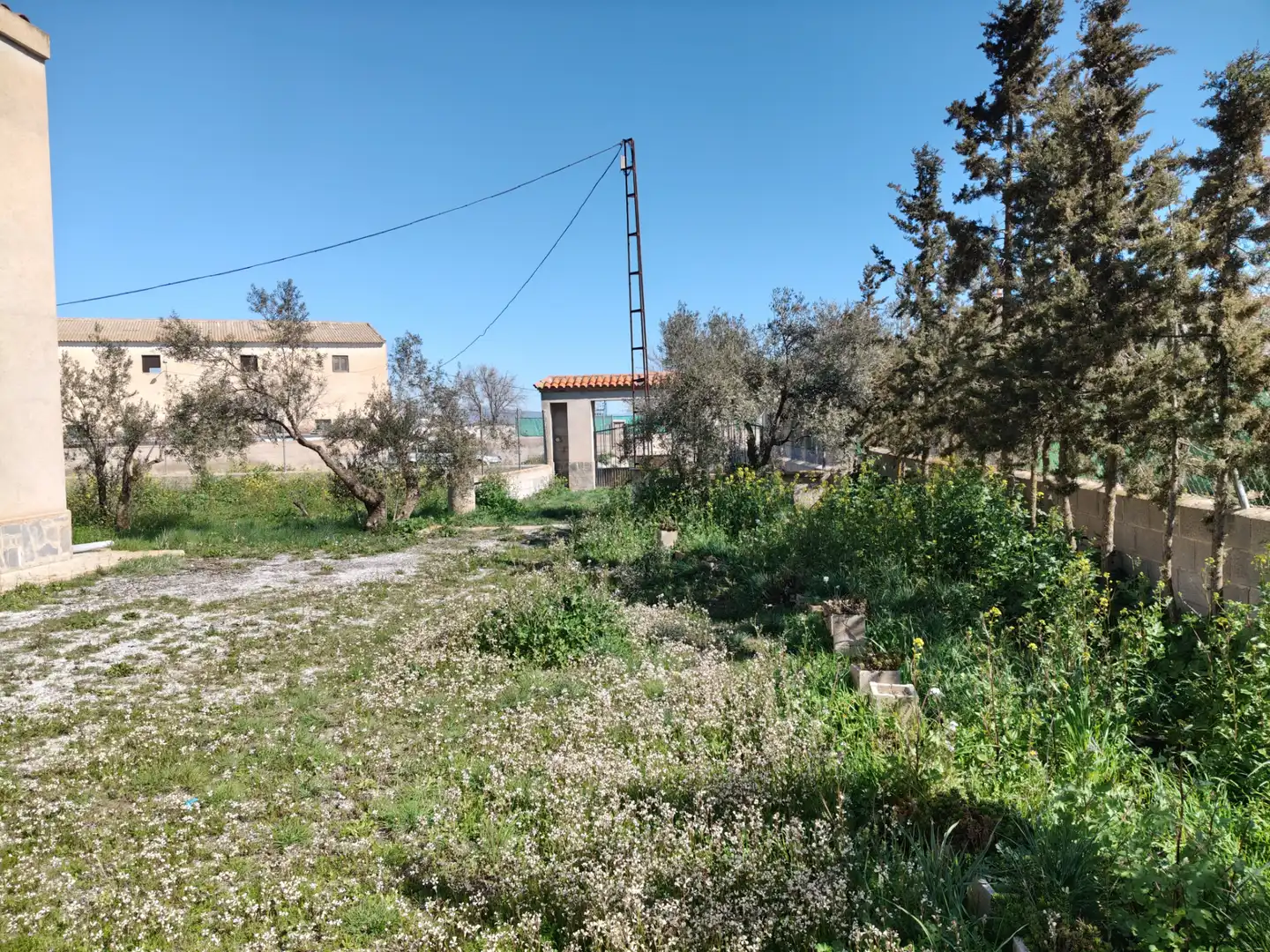 Chalet en venta en Camino Pachan 3S, imagen 31