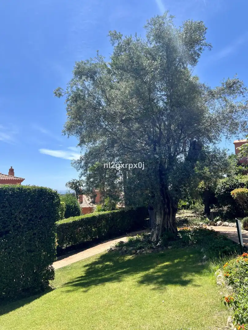 Flat for sale in Calle la Pacheca Alta 22, imagen 26