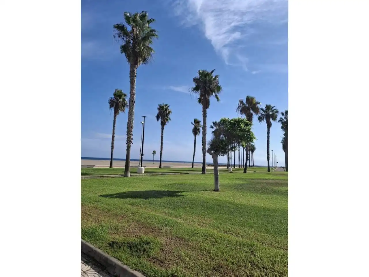 Vista exterior de Casa adosada en venda en Roquetas de Mar ciudad