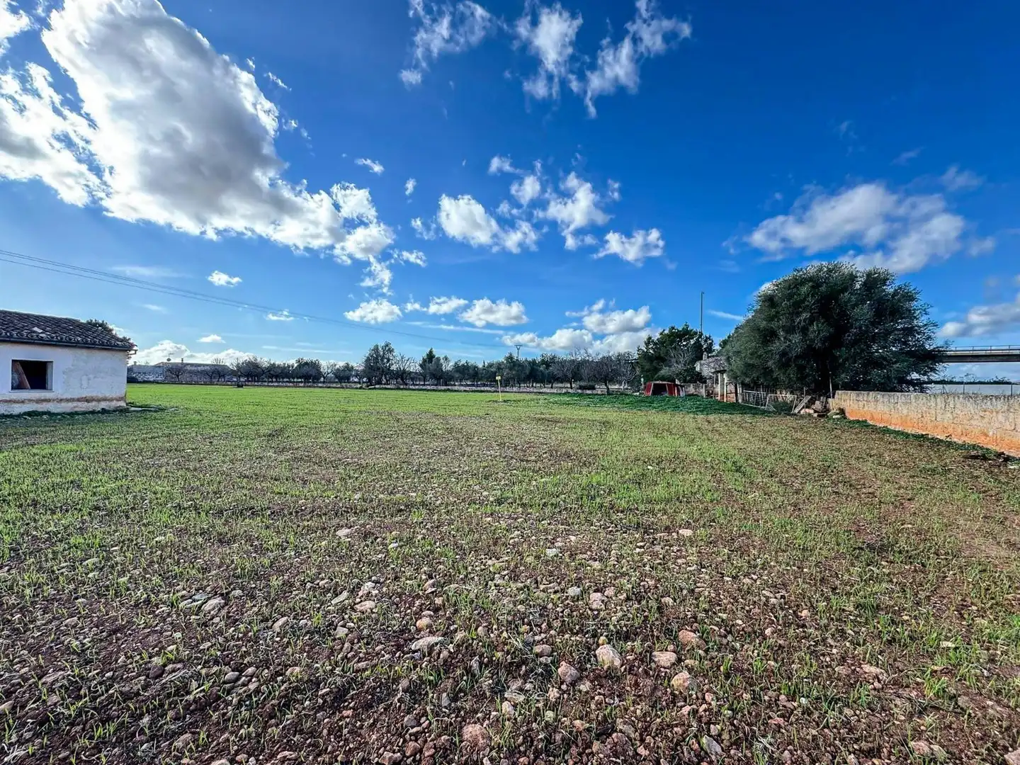 Terreno industrial en venta en Binissalem