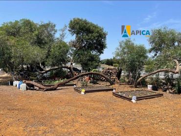 Terreno rústico en venta en El Retiro - Parque Atlántico - Ronda este