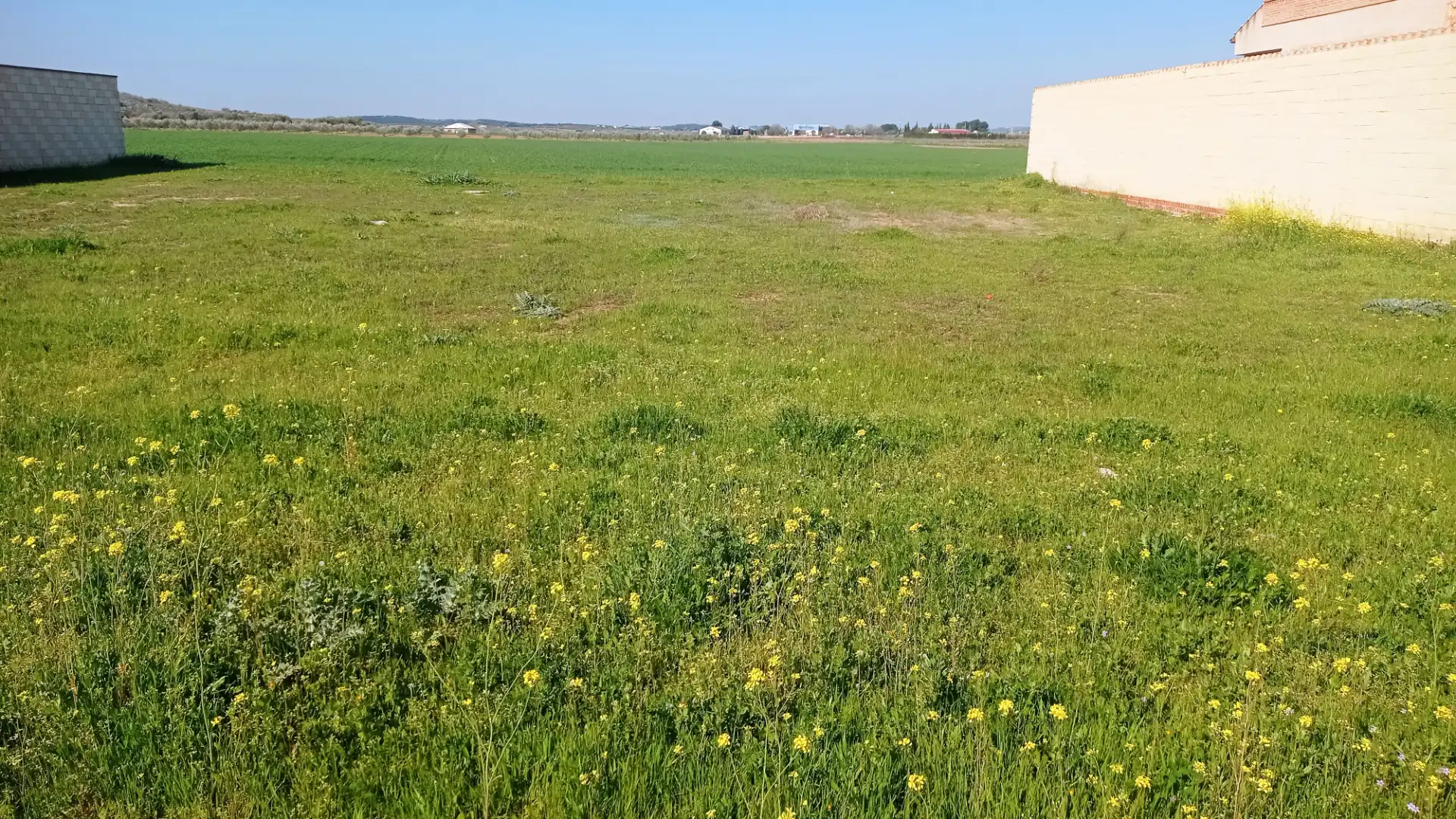 Terreno residencial en venta en Carrión de Calatrava, imagen 4