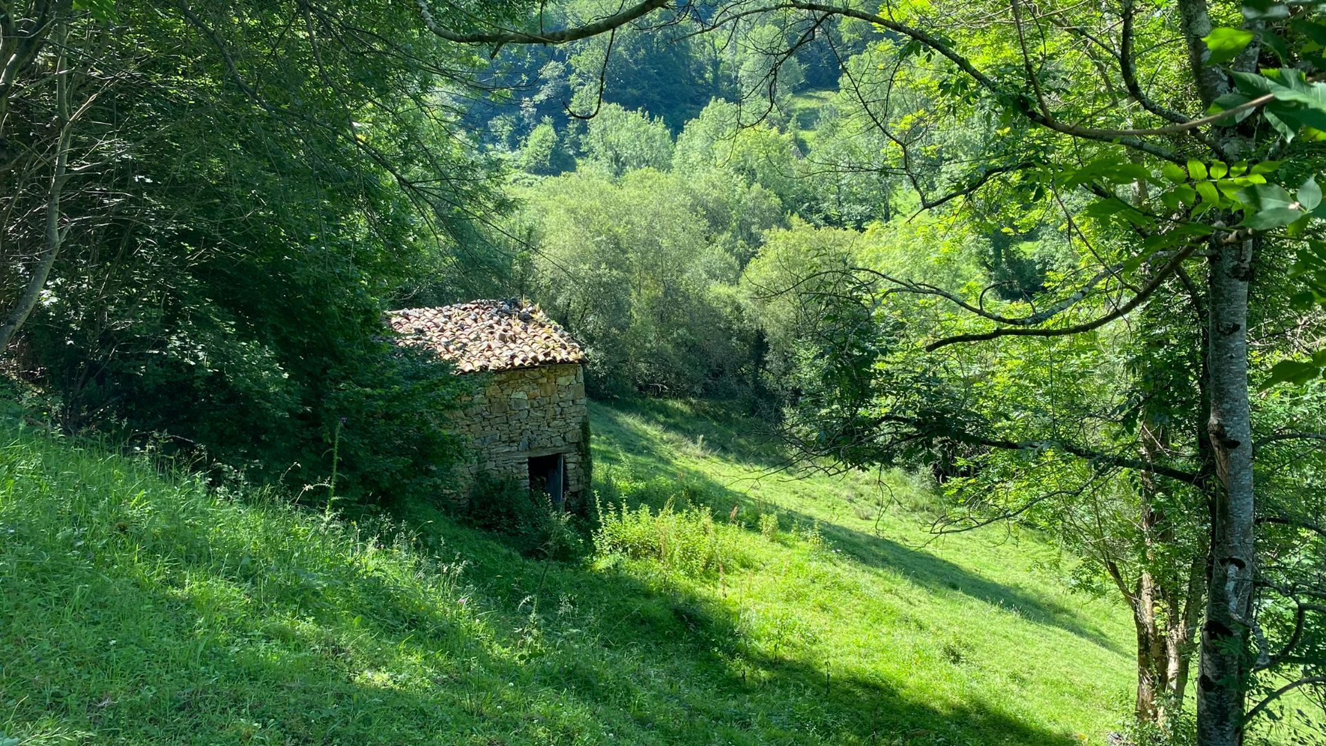 Grundstücke zum verkauf in PRIESCA, Ponga