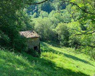 Jardí de Finca rústica en venda en Ponga