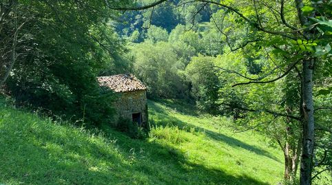 Venta de cuadraestablo de piedra en finca rústica de 4.934 m2 en zona boscosa