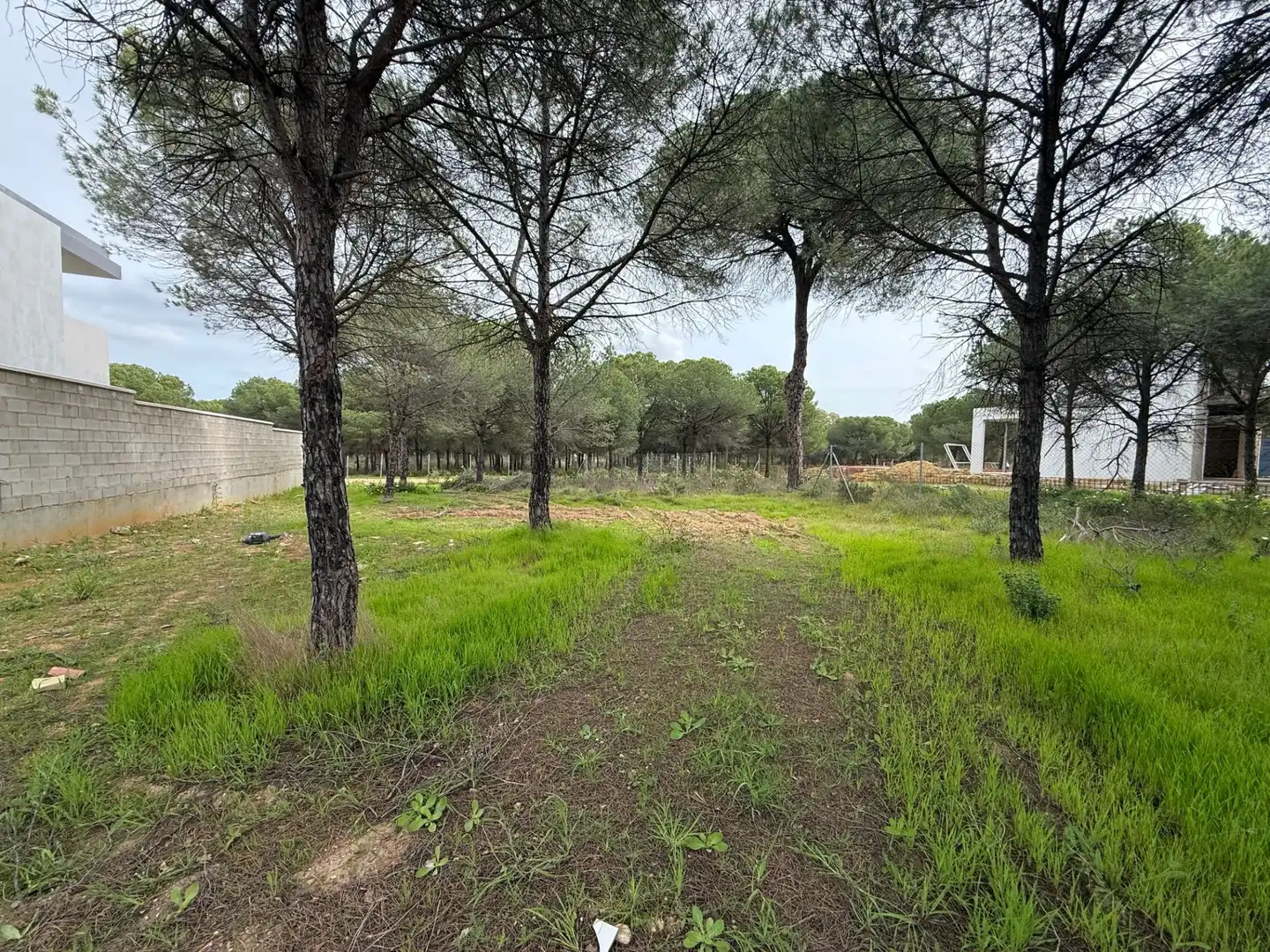 Terreni e lotti in vendita a Macizo Galaico, imagen 5