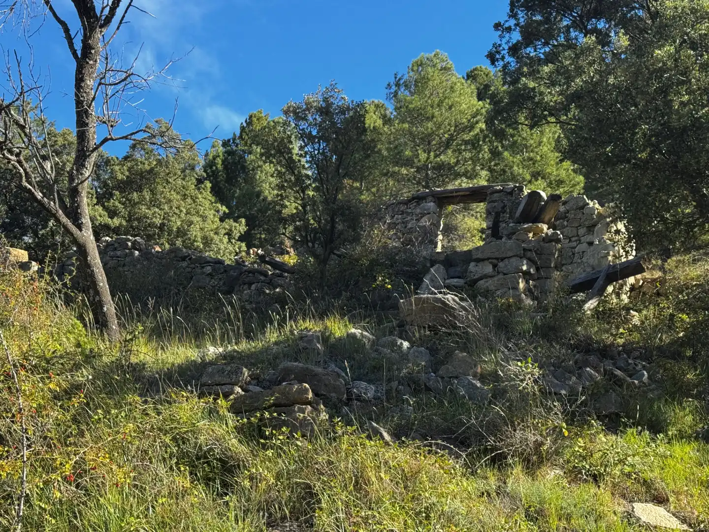 Terreni e lotti in vendita a Valderrobres, imagen 23