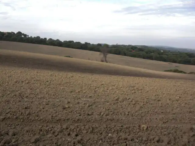 Rustikales Grundstück zum Verkauf in Vejer, imagen 2
