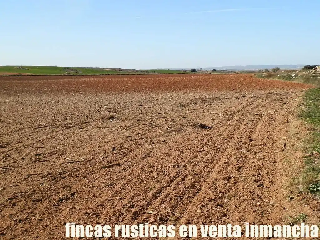 Terreni e lotti in vendita a Montalbo, imagen 24